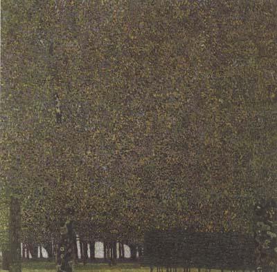 Gustav Klimt The Park (mk20) China oil painting art